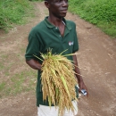 Sierra Leone