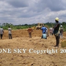 Sierra Leone