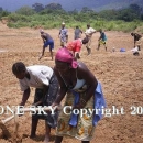 Sierra Leone